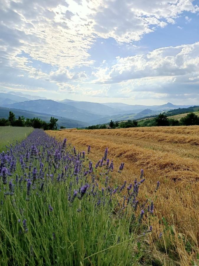 Agriturismo La Casetta - Ospitalita Rurale Familiare Montese Zewnętrze zdjęcie