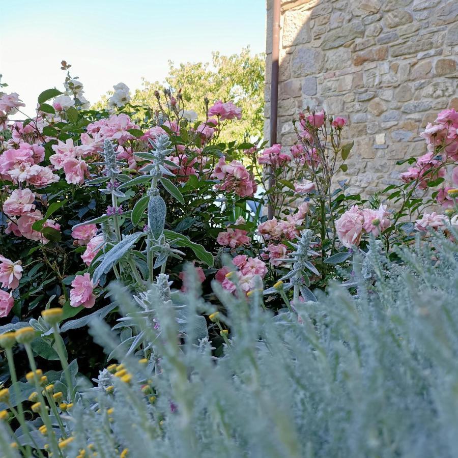 Agriturismo La Casetta - Ospitalita Rurale Familiare Montese Zewnętrze zdjęcie